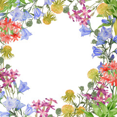 Square frame with bluebells and wild flowers. Floral watercolor illustration.