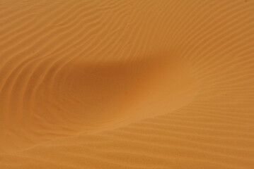 Beautiful landscape and hardscape at Morocco