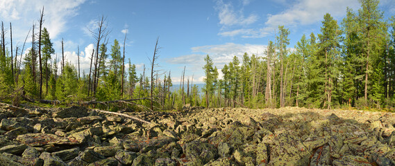 The taiga and alpine tundra - stone deposits, fragments of rock, boulders