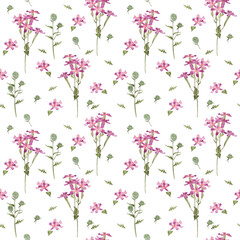 Seamless pattern with pink flowers and wild herbs. Watercolor illustration.