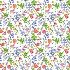 Seamless pattern with wild flowers and herbs. Summer watercolor illustration.