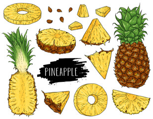 Hand drawn natural tropical set of whole pineapple, slices pieces, half and seed isolated on white background with label.
