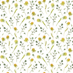 Watercolor pattern with wild flowers and herbs. Delicate background.