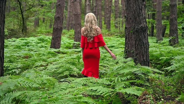 Back view of a Beautiful blonde girl in a chic red dress touching a fern in the fairy forest. Fantastic atmospheric footage. High quality FullHD footage