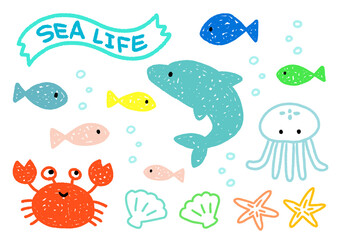 海の生き物セット　海　生き物