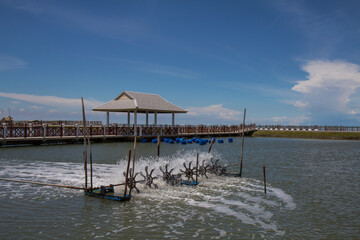 Water turbines increase oxygen to the water in fishing farm