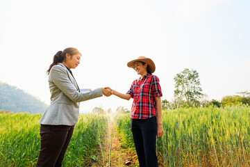 business and farmer women talking and shake hand ok at agricultural chiang mai Thailand
