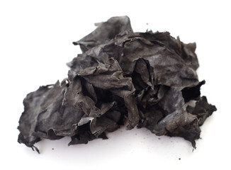 Charred paper scraps isolated.