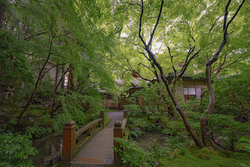 京都　寺　新緑　夏　春　広告　SNS　瑠璃光院　八瀬　数寄屋造　日本庭園　