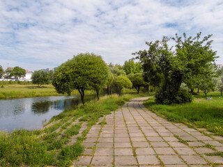 Beautiful summer landscape by a pond on a Sunny summer day