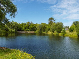 Fototapeta na wymiar Beautiful summer landscape by a pond on a Sunny summer day