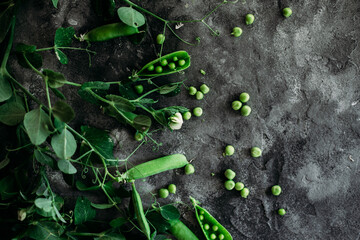 vegetable garden, penne, natural, vegetables, sweet, plant, nature, bean, organic, vegan food, young peas, top view, green, vegetarian, peas, vegetable, fresh, wood, wooden, healthy, background, table