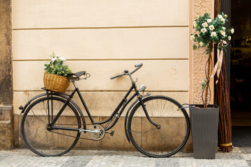 Fototapeta na wymiar Old Europe style, a bicycle with a basket with fresh flowers is parked near the entrance to the house