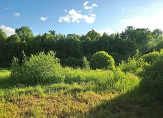 
bananas, yellow peaches and nectarines are on the table