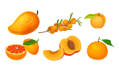 Fruits and Berries with Ripe Apricot and Mango Vector Set
