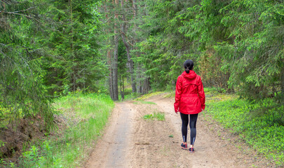 Obraz premium Back view of woman walking on dirt road in pine and spruce forest, hiking trip. Solo outdoor activities. Enjoy time alone in nature.