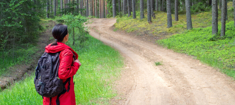 Back view of woman with backpack walking on dirt road in pine and spruce forest, hiking trip. Solo outdoor activities. Enjoy time alone in nature.