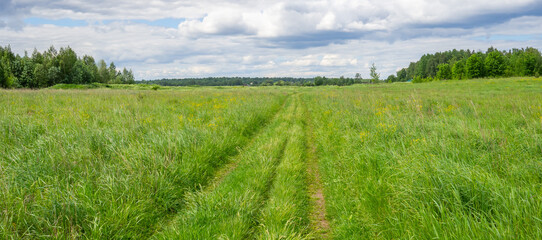 Beautiful rural road in green field or meadow in summer against dramatic sky. Nature background. Banner