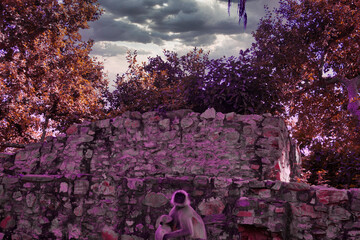 Fototapete bei efototapeten.de bestellen   