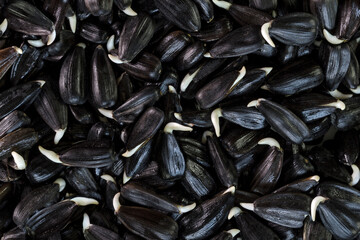 Germinated Sunflower Seeds. Healthy nutrition. High in vitamins and antioxidants.  Background.