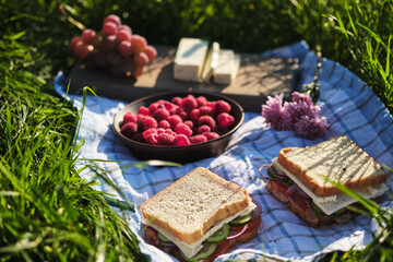 Romantic picnic in the village on the nature. Sandwiches, berries, cheese and fruits for breakfast. Sandwich with onions, cheese, cucumber, tomato and meat.