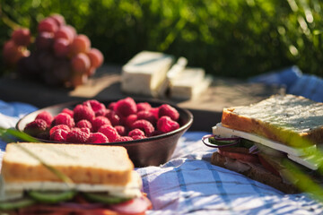 Romantic picnic in the village on the nature. Sandwiches, berries, cheese and fruits for breakfast. Sandwich with onions, cheese, cucumber, tomato and meat.
