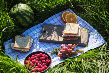 picnic in the park