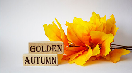 The inscription golden autumn is collected from wooden blocks next to yellow leaves