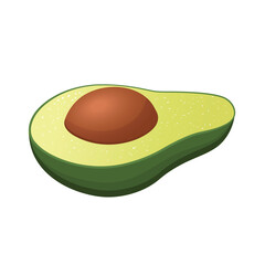 Realistic vector avocado illustration. Half of avocado on a white background.