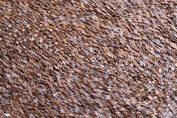Coffee beans in waves, abstract background for design and decoration.