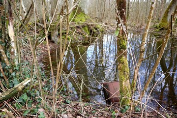 Nature pollué