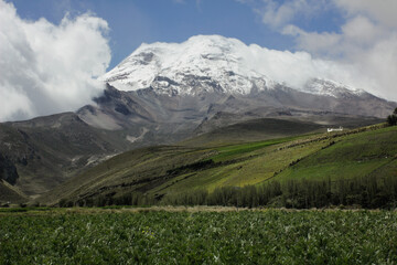 Chimborazo Volcano surrounded by green fields. The Highest mountain in Ecuador