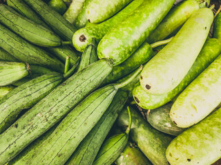 Close up heap of pile of raw eggplant zucchini on a local asia farmers market. Light green background. Cooking and healthy food concept, vitamins for strong immunity, good nutritional value