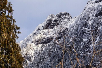 Winter in the mountains