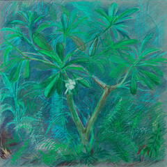 Tropical vegetation.Drawing with pastels.Plumeria.Nature. plants Plumeria and ferns