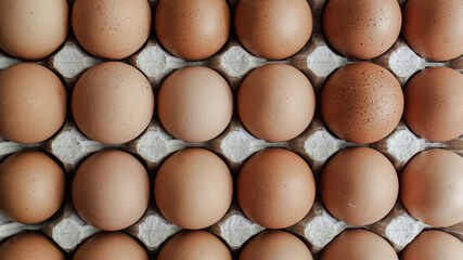 Close up of brown raw chicken eggs in a cardboard tray. Top view
