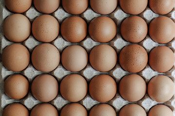 Close up of brown raw chicken eggs in a cardboard tray. Top view