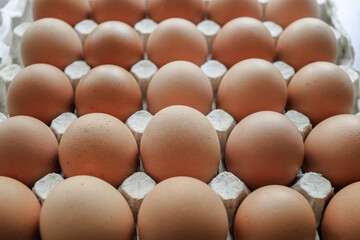 Group of fresh eggs in pater tray. Raw Egg food breakfast for cooking
