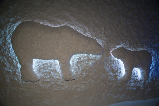 Salty white wall background in the form of Polar bear figures with a beautiful crystal pattern, design speleotherapy halotherapy
