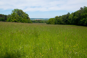 Abendspaziergang durch Wiesen und Felder bei Bad Nauheim in Hessen.