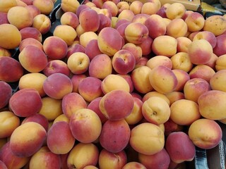 abricots