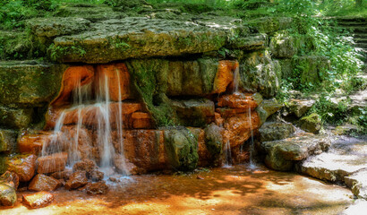 Fototapeta premium waterfall in the forest