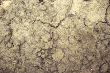 texture of the ground