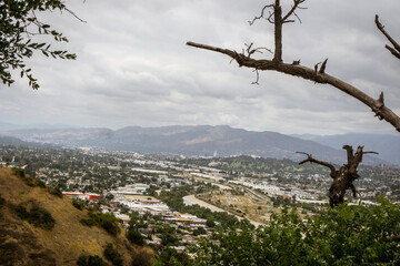 mountain landscape with trees
