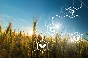 Agriculture.