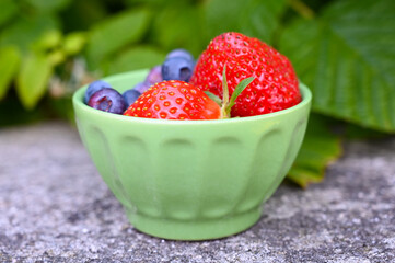 fraises du jardin bio