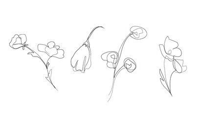 vector set of outline flowers,  one line art