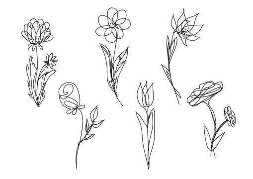 set of hand-drawn flowers, vector single line art