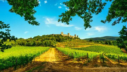 Fototapeta na wymiar Monteriggioni medieval fortified village and vineyards, Siena, Tuscany. Italy