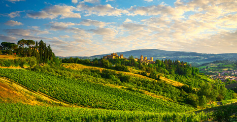 Fototapeta na wymiar Certaldo Alto town skyline and vineyards view. Florence, Tuscany, Italy